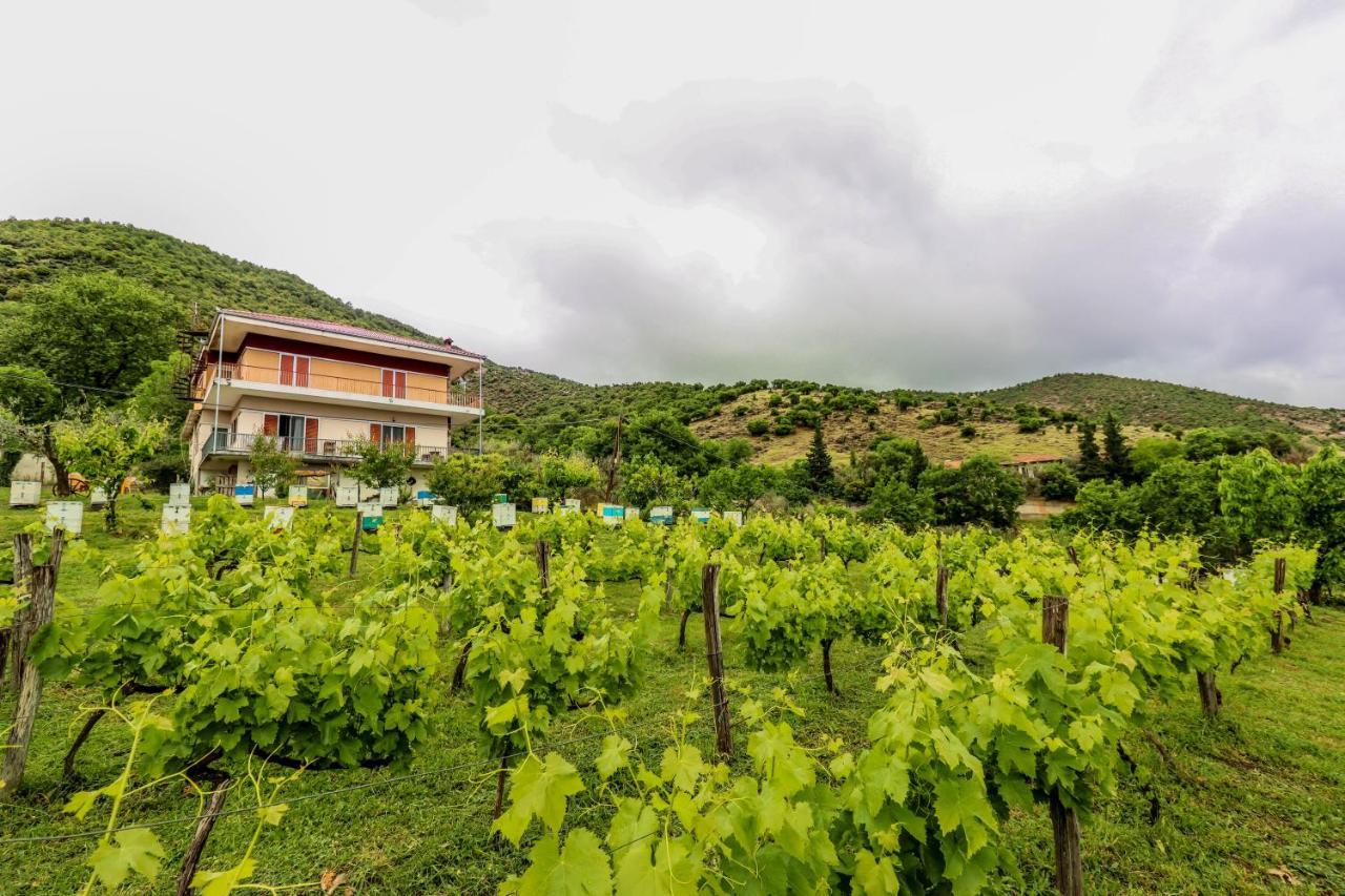 Country Home Genesi 20 Min From Trikala Esterno foto