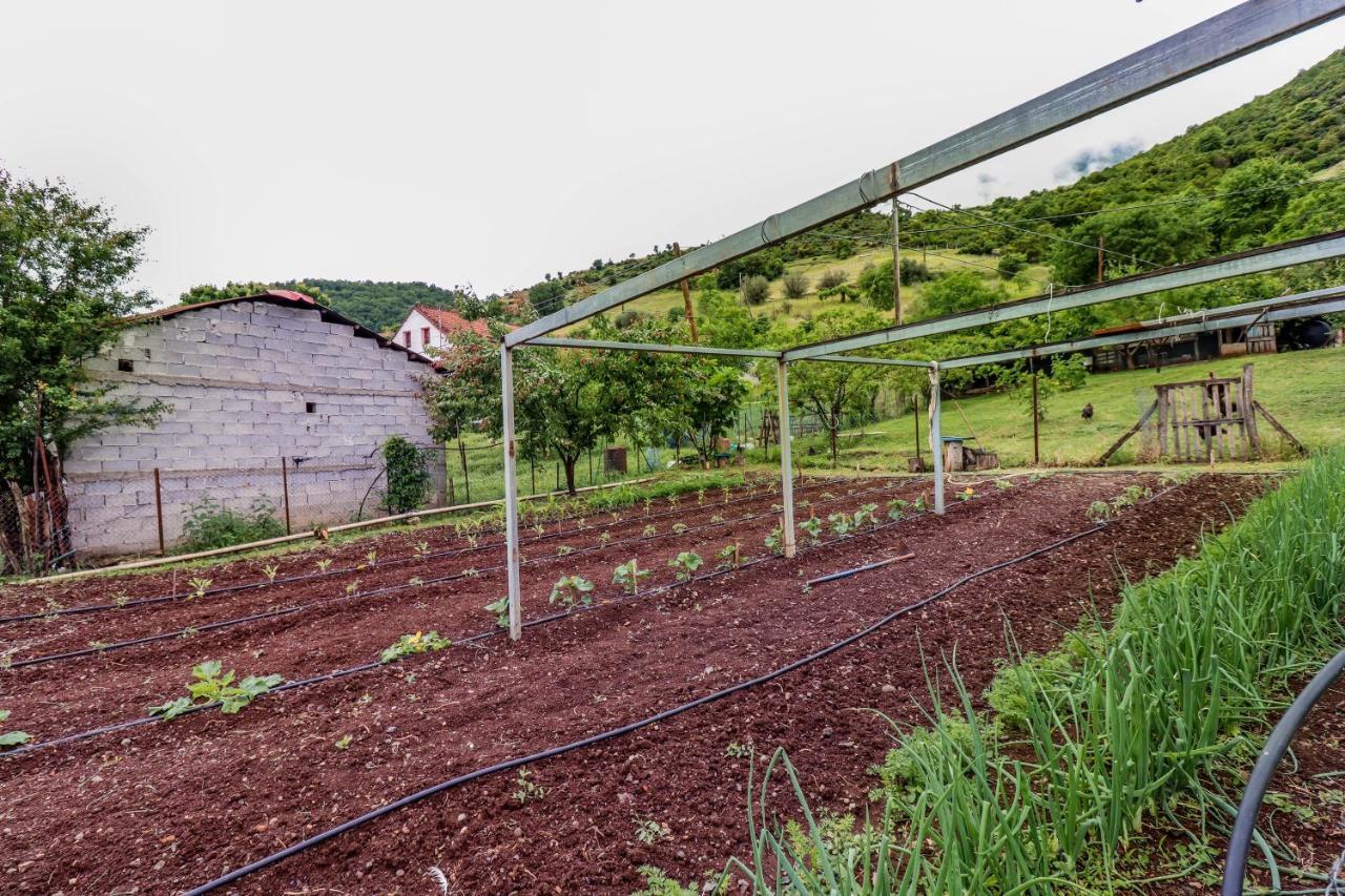 Country Home Genesi 20 Min From Trikala Esterno foto
