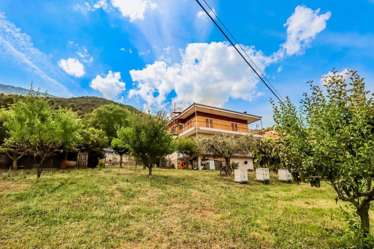 Country Home Genesi 20 Min From Trikala Esterno foto