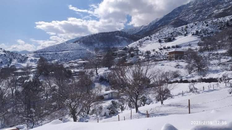 Country Home Genesi 20 Min From Trikala Esterno foto