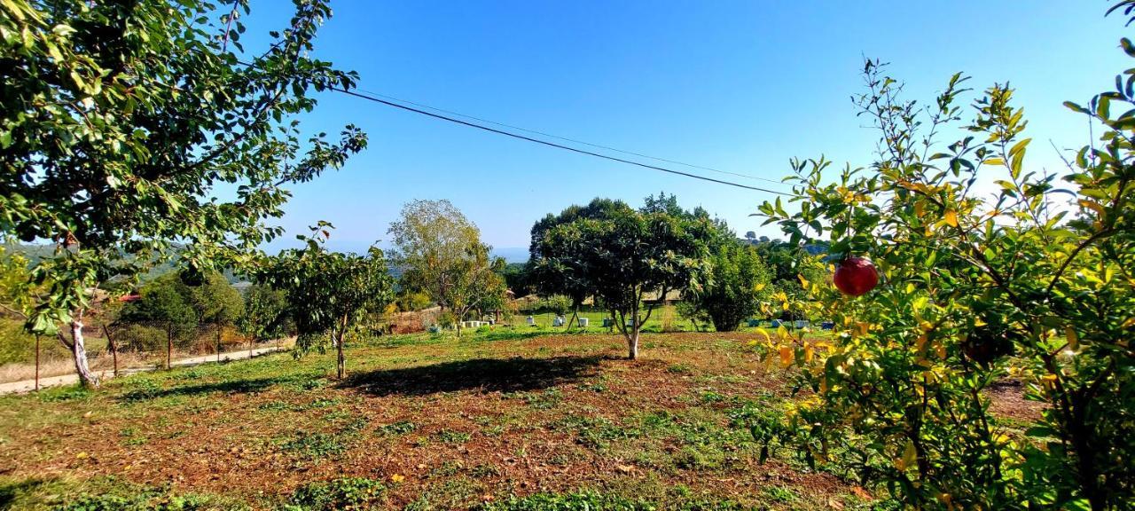 Country Home Genesi 20 Min From Trikala Esterno foto