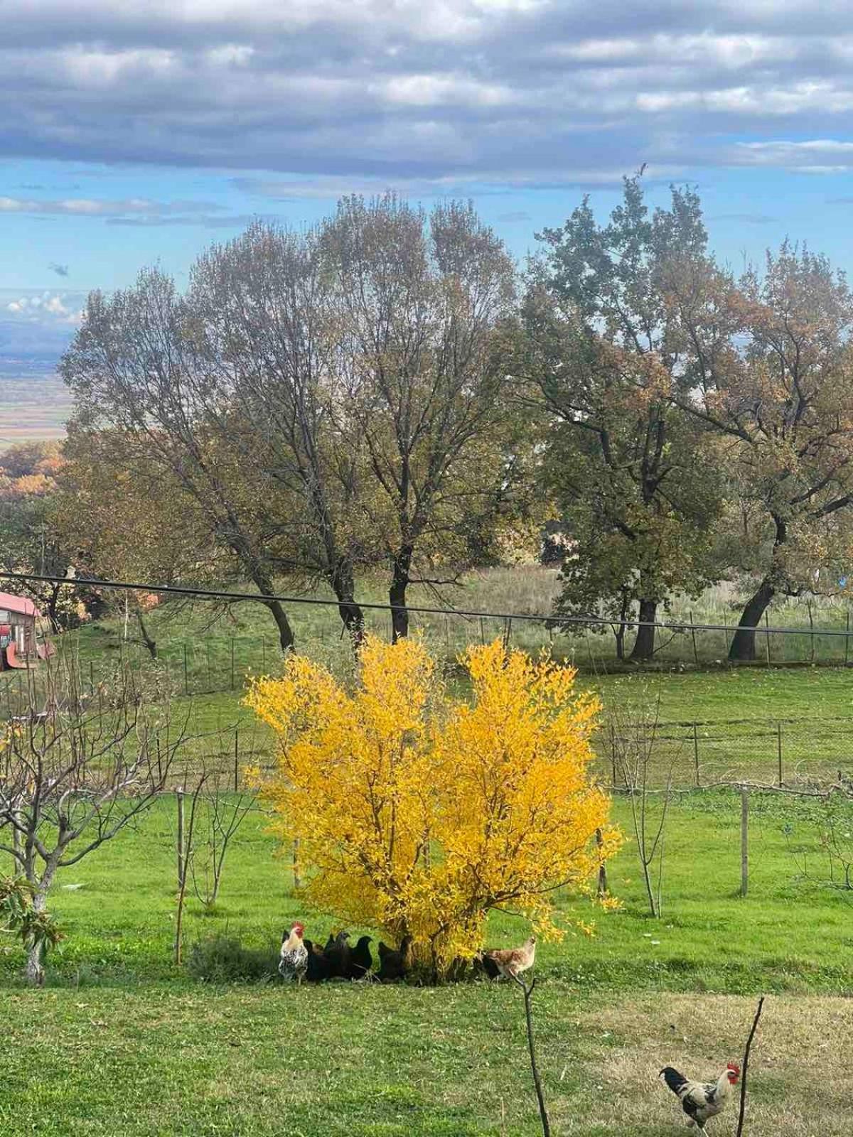 Country Home Genesi 20 Min From Trikala Esterno foto