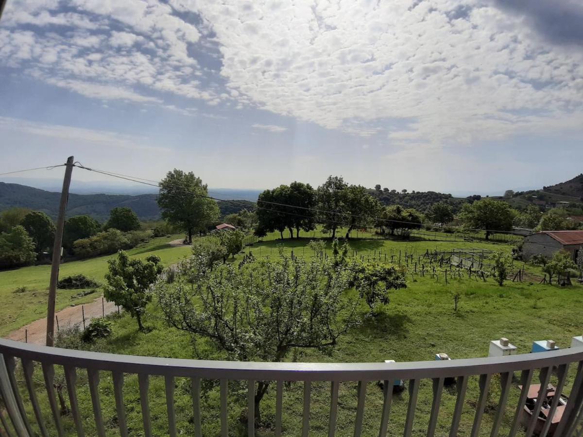 Country Home Genesi 20 Min From Trikala Esterno foto