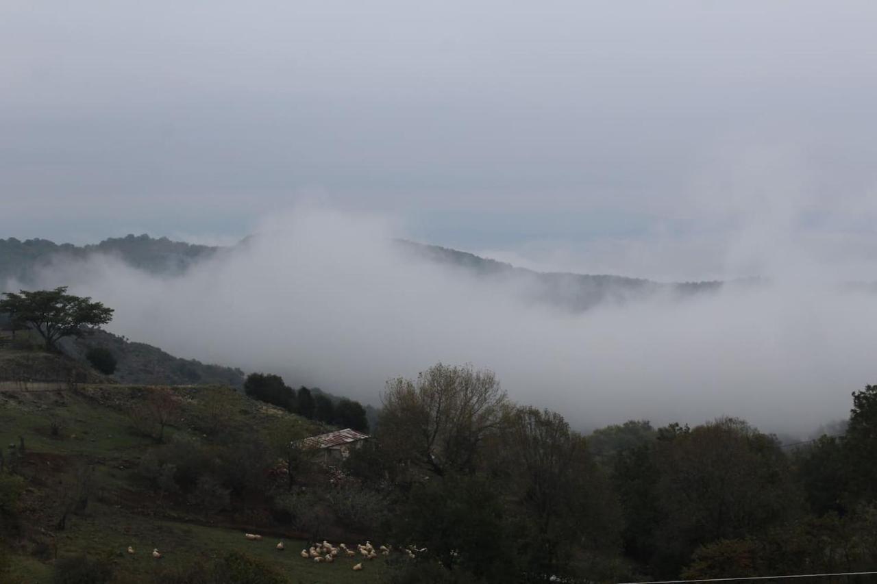 Country Home Genesi 20 Min From Trikala Esterno foto