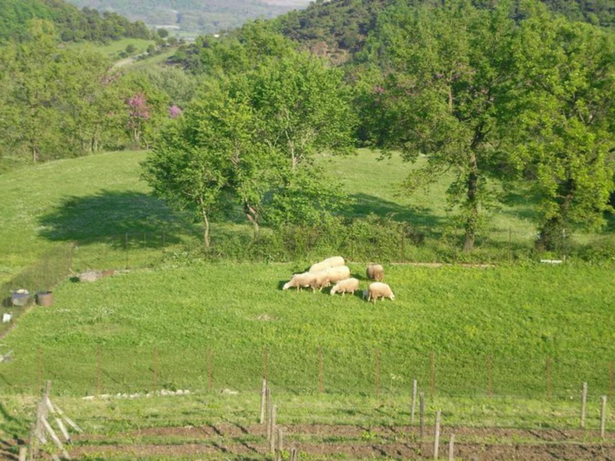 Country Home Genesi 20 Min From Trikala Esterno foto