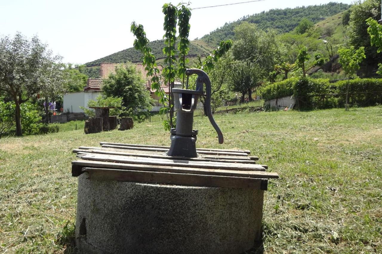 Country Home Genesi 20 Min From Trikala Esterno foto