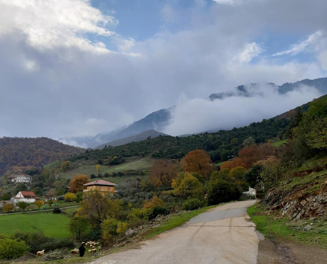 Country Home Genesi 20 Min From Trikala Esterno foto